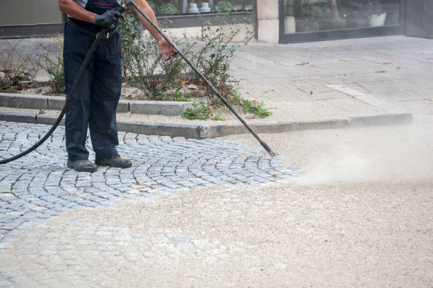 Best Brick and Stone Cleaning in Cayuga Heights, NY